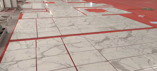 Natural Stone Granite/Marble for Floor/Wall/Flooring/Mosaic/Paving Slab/Tile